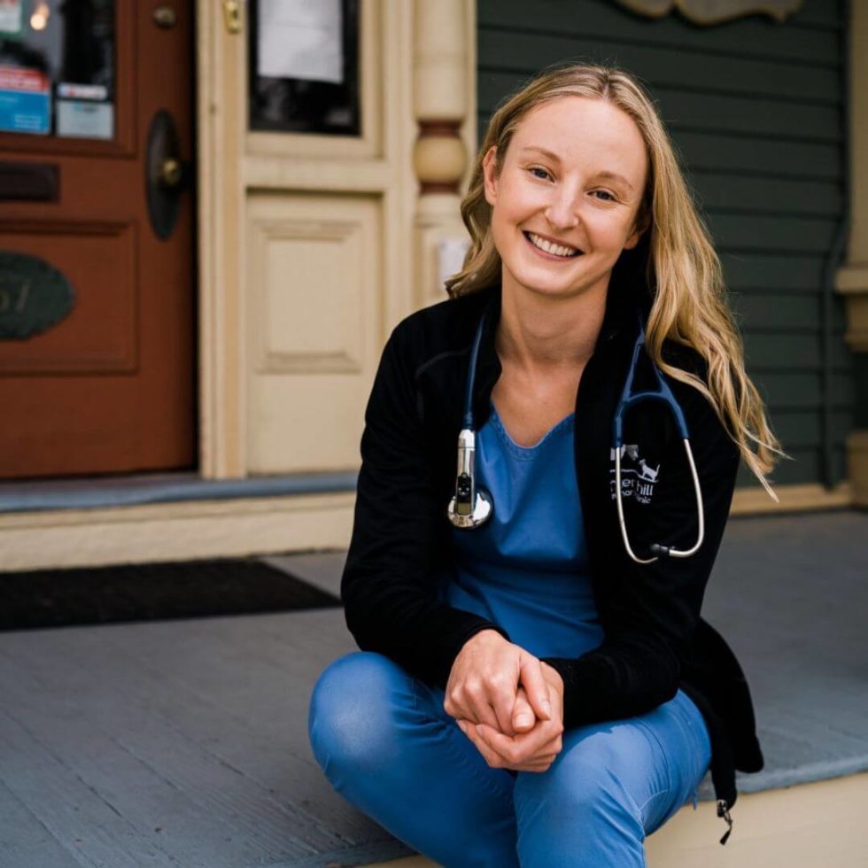 About Winter Hill Veterinary Clinic Vet In Somerville, MA 02145